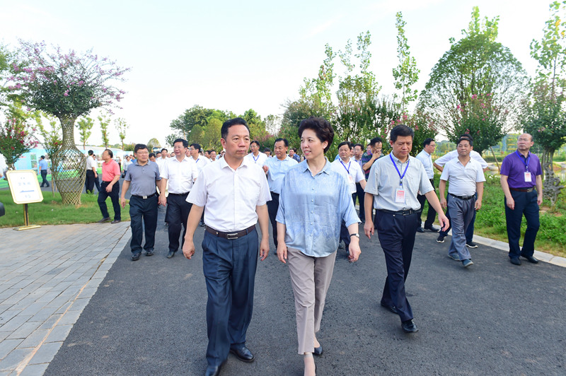 图为乌兰书记一行在洋沙湖湿地公园考察_副本.jpg